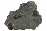 Plate of Four Red Embers Garnets in Graphite - Massachusetts #313523-1